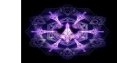 紫剑光圈MF-200401-20