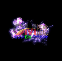 紫鱼龙-MF-200331-28